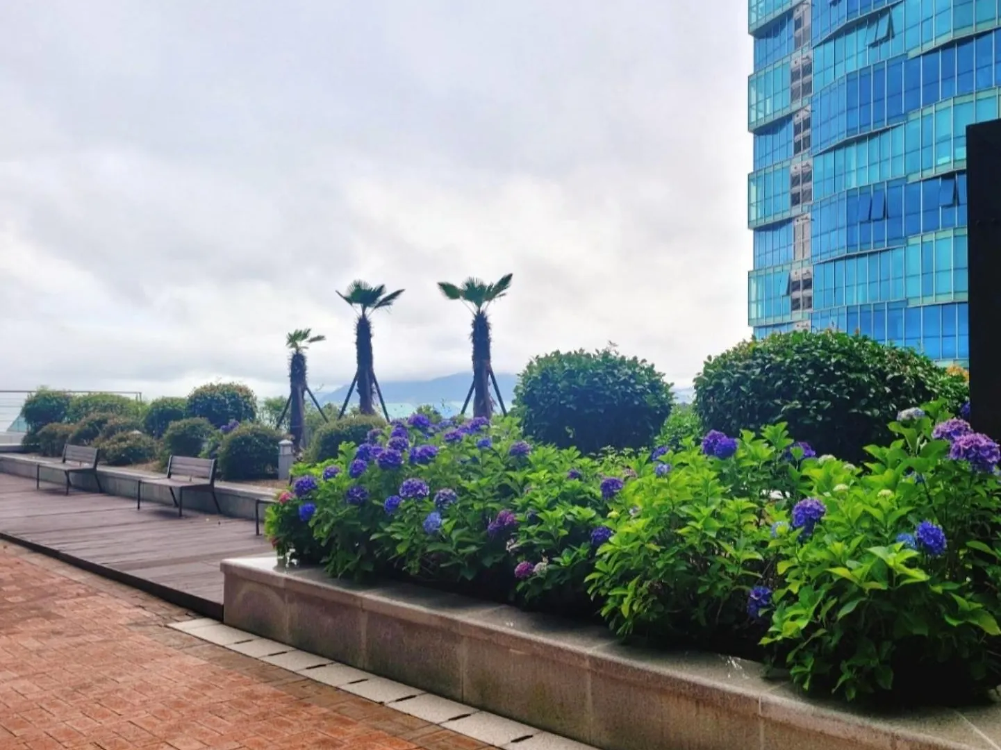 Pale De Cz Condo Busan