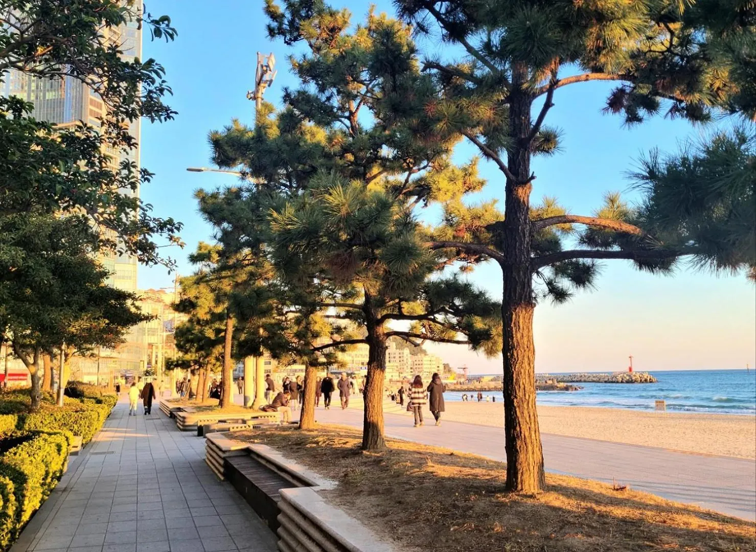 Pale De Cz Condo Busan Resort
