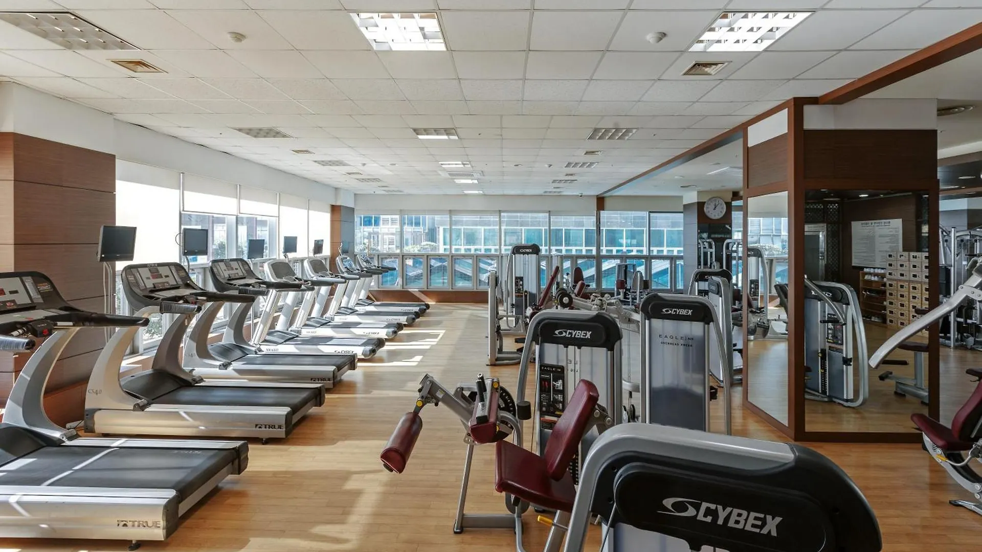 팔레드시즈 콘도 부산광역시 4*,  대한민국